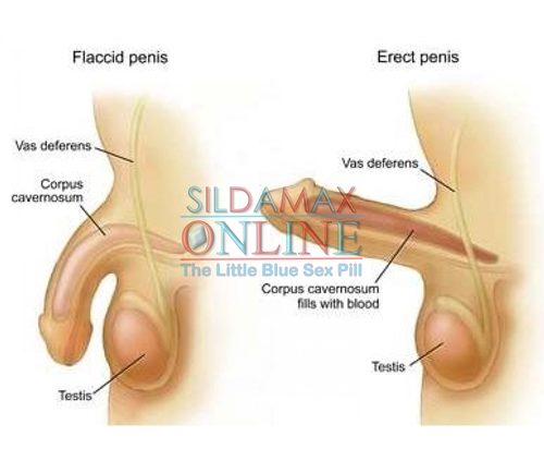 Erectile Dysfunction